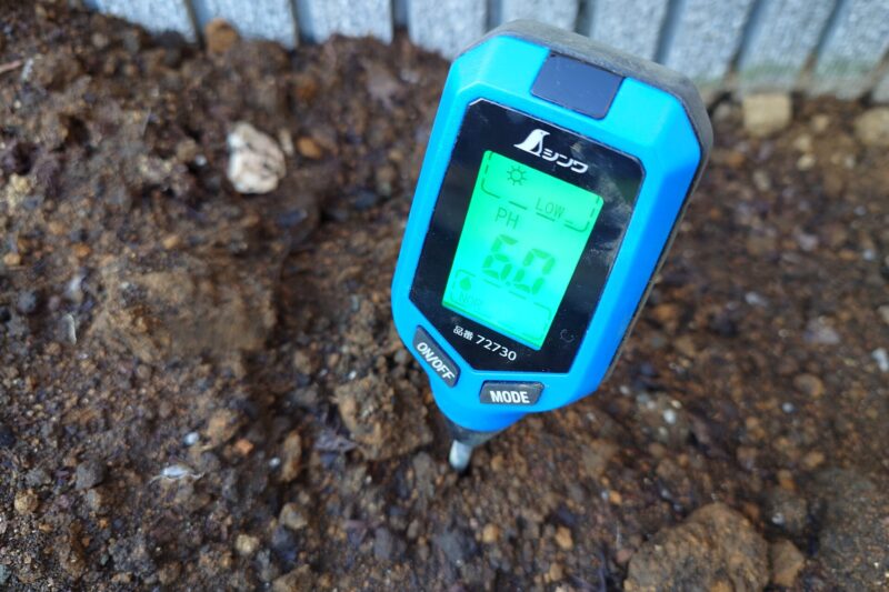 家庭菜園用ぶどうのための土づくり～掘ってみる～