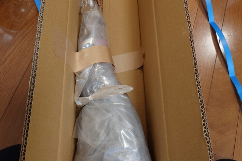 ぶどうの苗木の購入